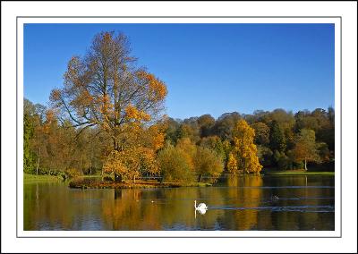 Stourhead ~ the painterly touch