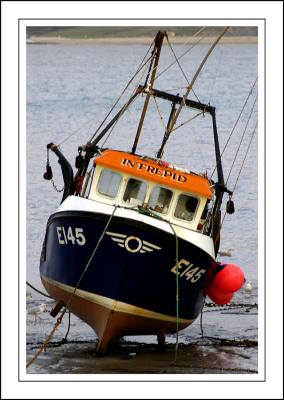 Intrepid, Lyme Regis