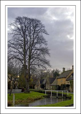 Tree and bridge, Lower Slaughter, Cotswolds