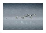 The family outing ~ Chew Valley lake