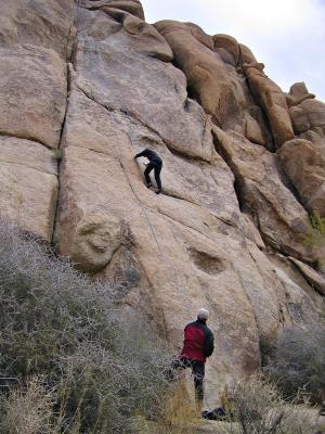 JTree Climbing