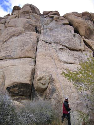 JTree Climbing