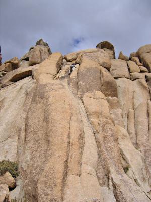 JTree Climbing