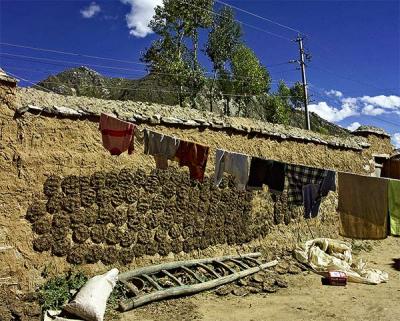 Drying Laundry, Drying Dung