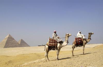 u49/mpcva/medium/36748325.camels.jpg