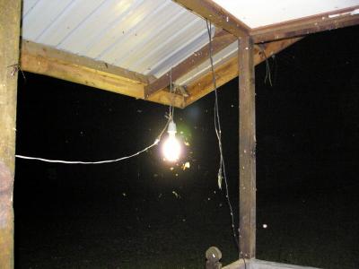 Big light to attract insects