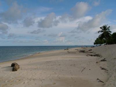 Snorkelling from the beach