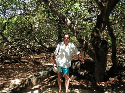 Peter & giant cashew tree