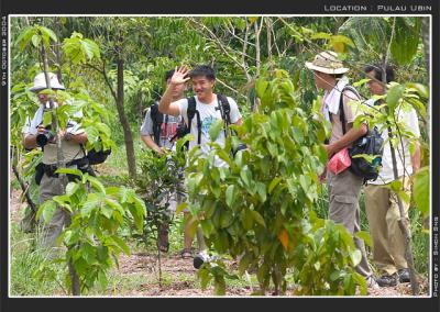 From Ubin