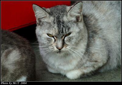 Crop_DSCF5063.jpg