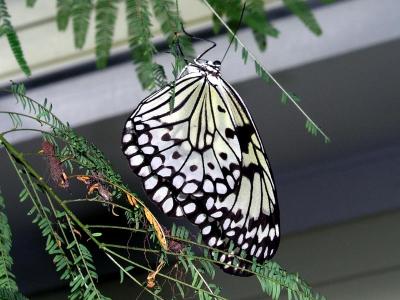 P5110238 copy.jpg