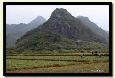 Wuyuan County Farming-copy.jpg