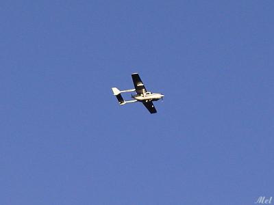 Aeroplane in the sky.jpg(396)