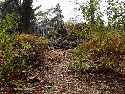 Path to rock-pond.jpg(267)