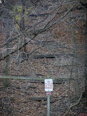 No sleds in the woods.jpg(463)