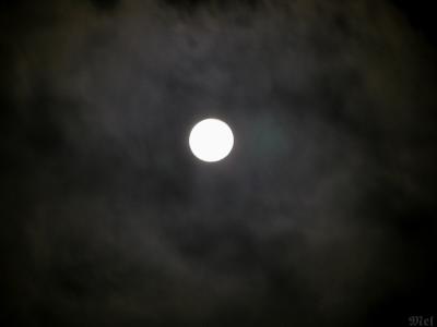 cloudy moon.jpg(296)