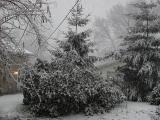 Winter Scene2.jpg(11/24/04)(322)