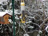 11.24.04 first snow of season.jpg(278)