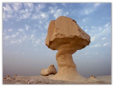 Desert Mushroom II by Fritz Kurt
