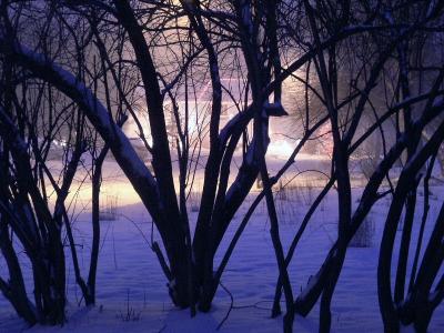 Winter snow by Richard B
