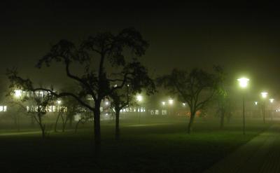 Scary Trees by pi