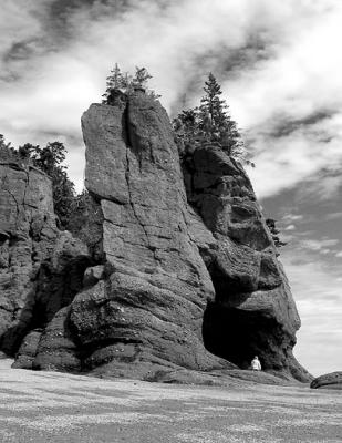 Hopewell Rocks by howard1