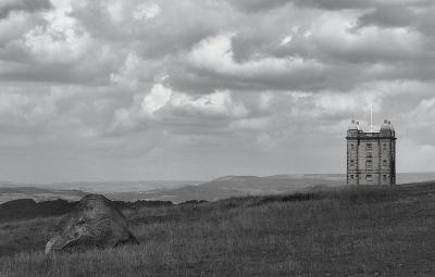 The Cage by Richard B