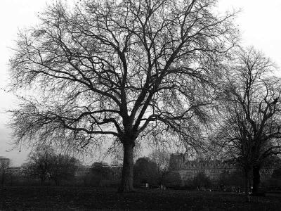 u49/mtf_foto_studies/medium/36829024.09_btree_ok_usm_4w.jpg