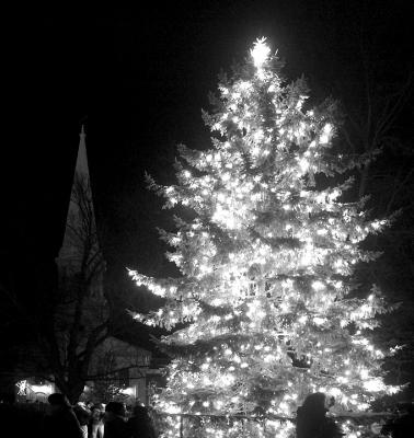 Tree Lighting By: Don Lynch