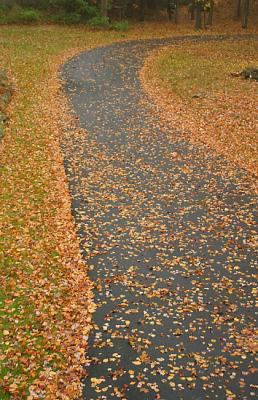 Driveway with leaves