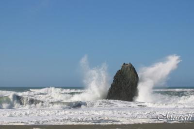Sea Burst (10-31-04)