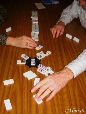 u49/muriah/medium/36838388.IMG_9490vvzbmThanksgivingRainbowDominos.jpg