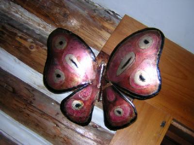 Papillons5.jpg