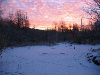 u49/murielle/medium/36281871.IMG_0115a.jpg