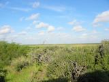 Laguna Atascosa NWR