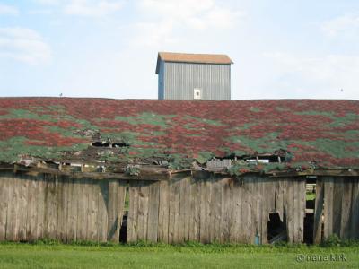 Barn, Amana Colonies, IA