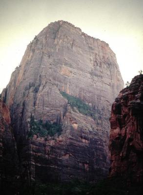 Zion.Utah
