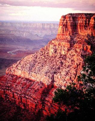 Grand Canyon.Arizona