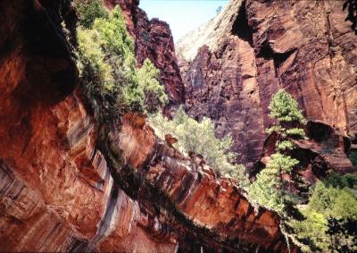 Zion.Utah