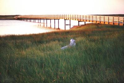 Kouchibouguac.New Brunswick