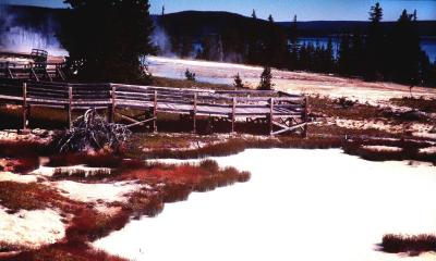 Yellowstone.Wyoming