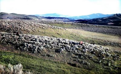 Yellowstone.Wyoming
