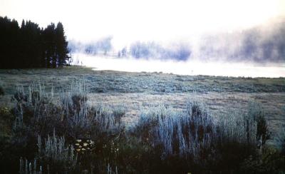 Yellowstone.Wyoming