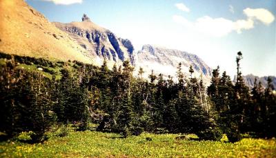 Glacier .Montana