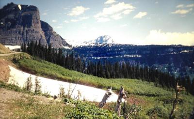 Glacier. Montana