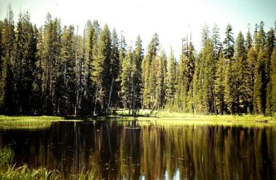 Yellowstone. Wyoming