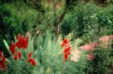 Butchart gardens.British Columbia