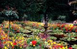 Butchart gardens.British Columbia