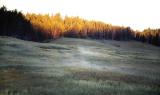 Yellowstone.Wyoming
