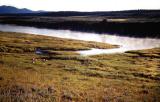 Yellowstone.Wyoming